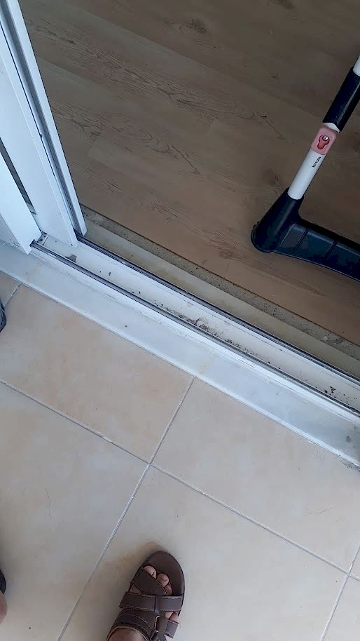 DIŞ ALAN TEMİZLİĞİ